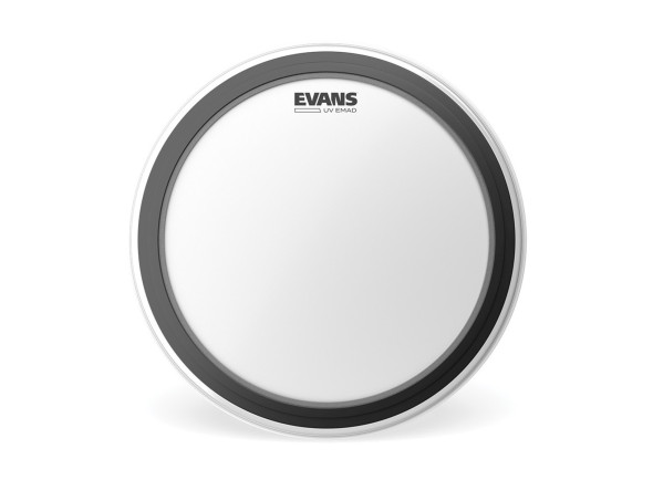 Evans 16 Evans 16